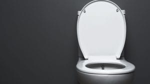 toilet installation and blocked toilet services